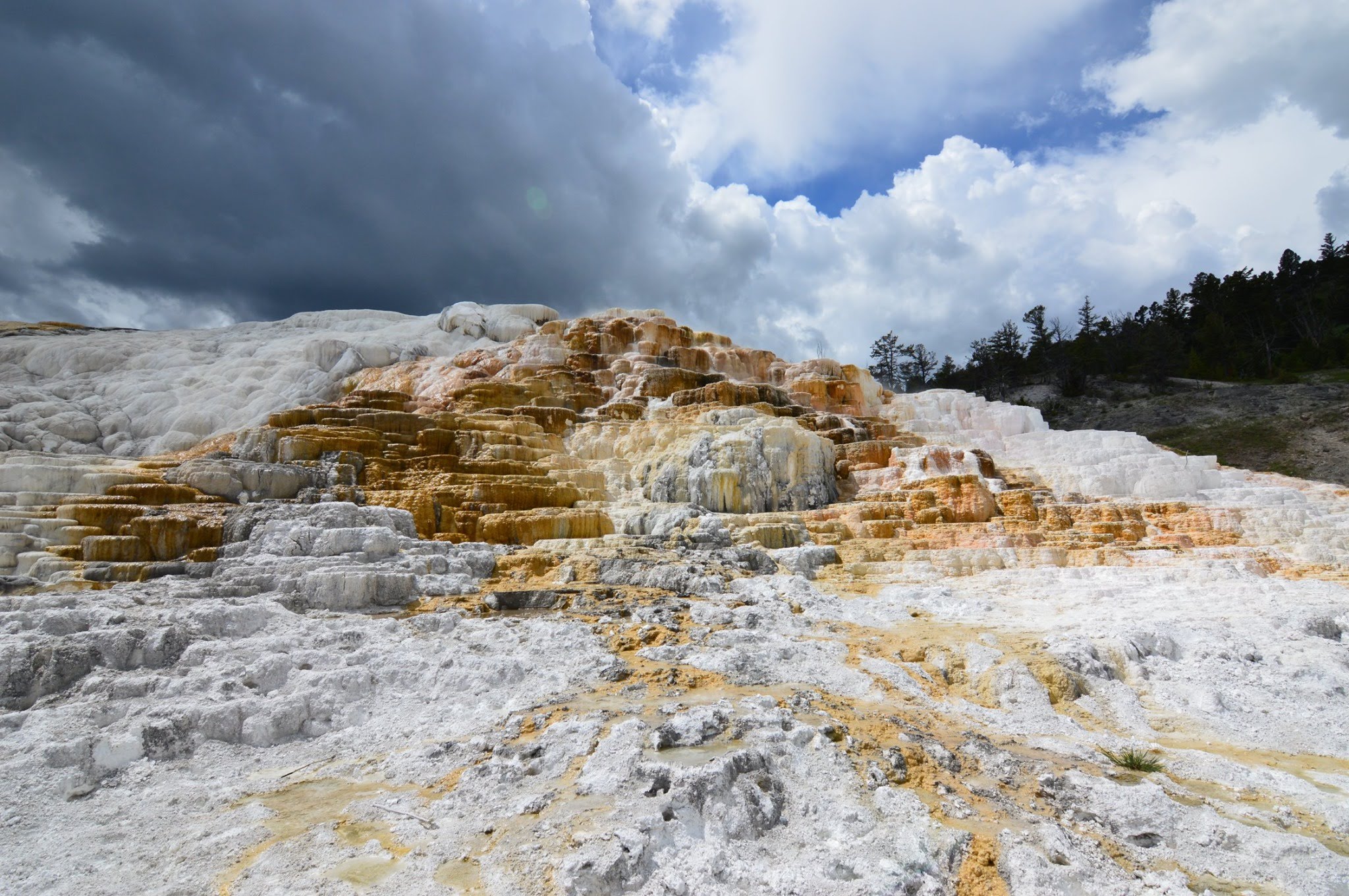 64419030_10156583049342809_7125700955697315840_o