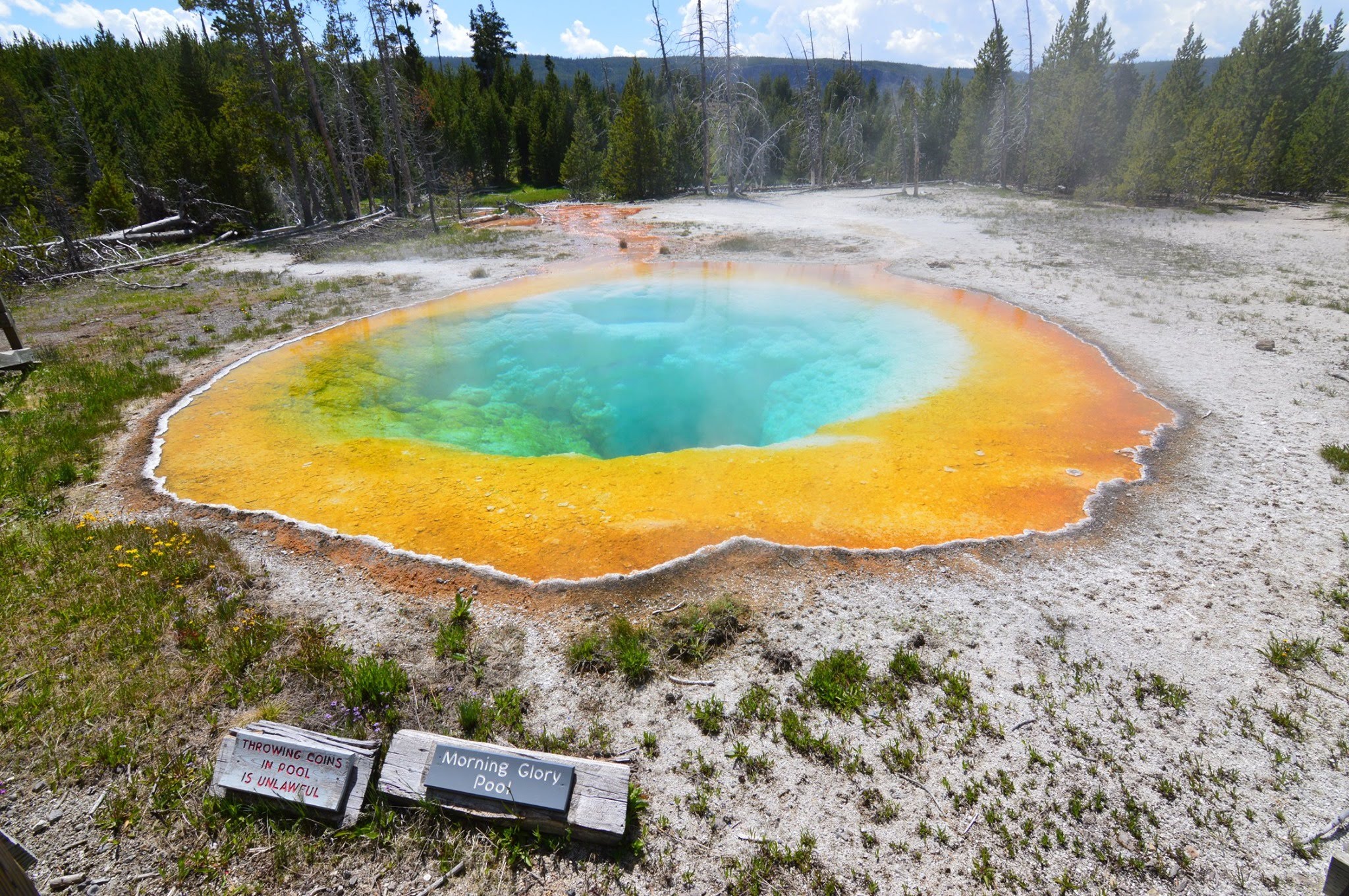 64423715_10156583040587809_6043133686868606976_o