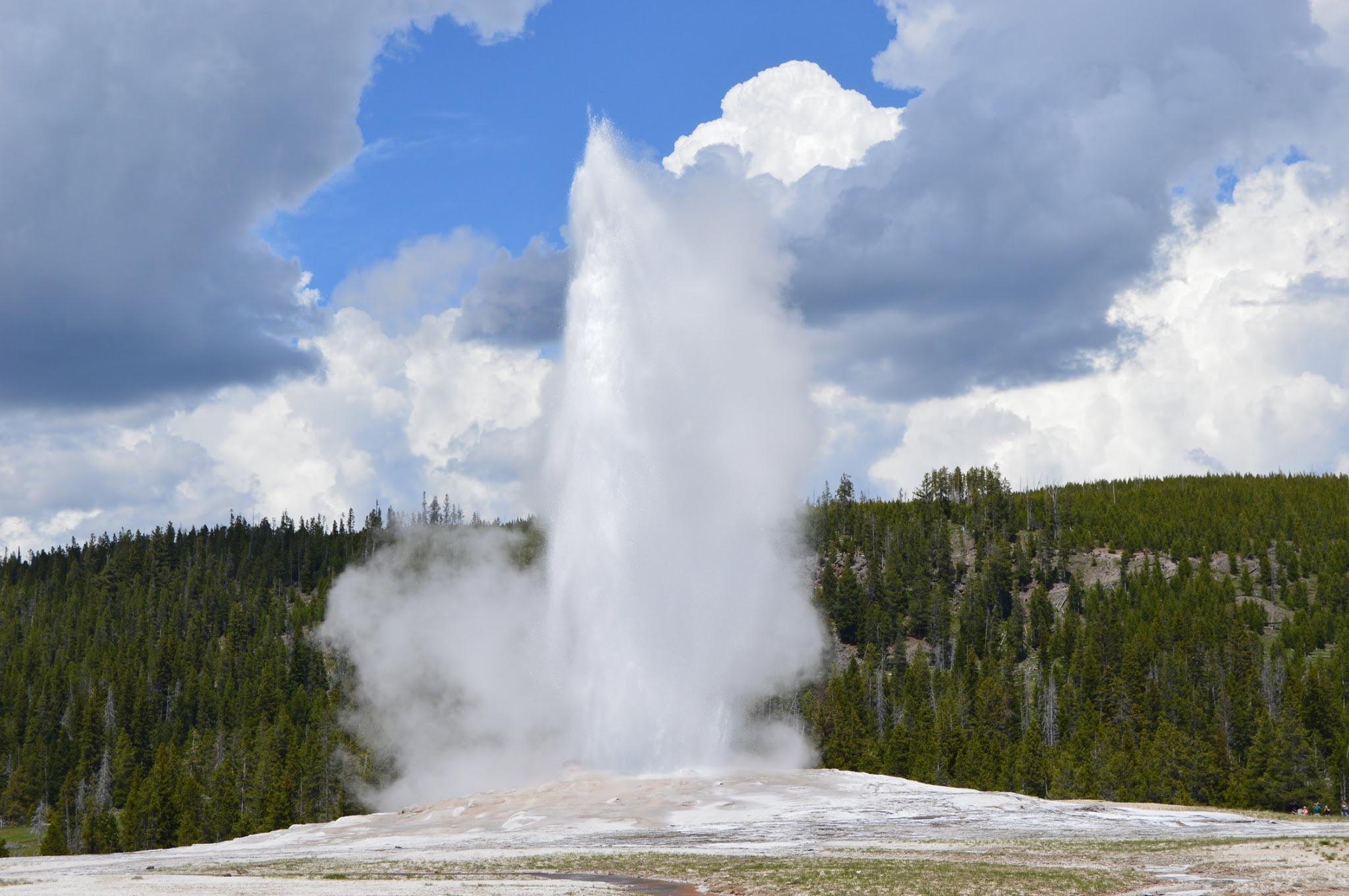 64501003_10156583040162809_652571502683619328_o