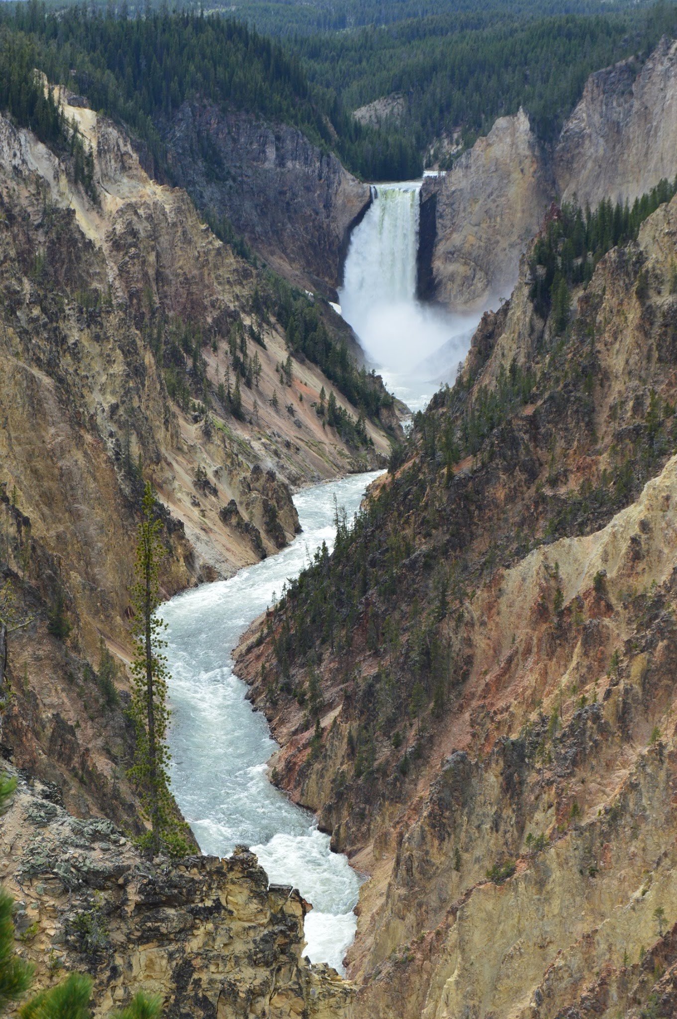 64590868_10156583049962809_7011969276806430720_o-1