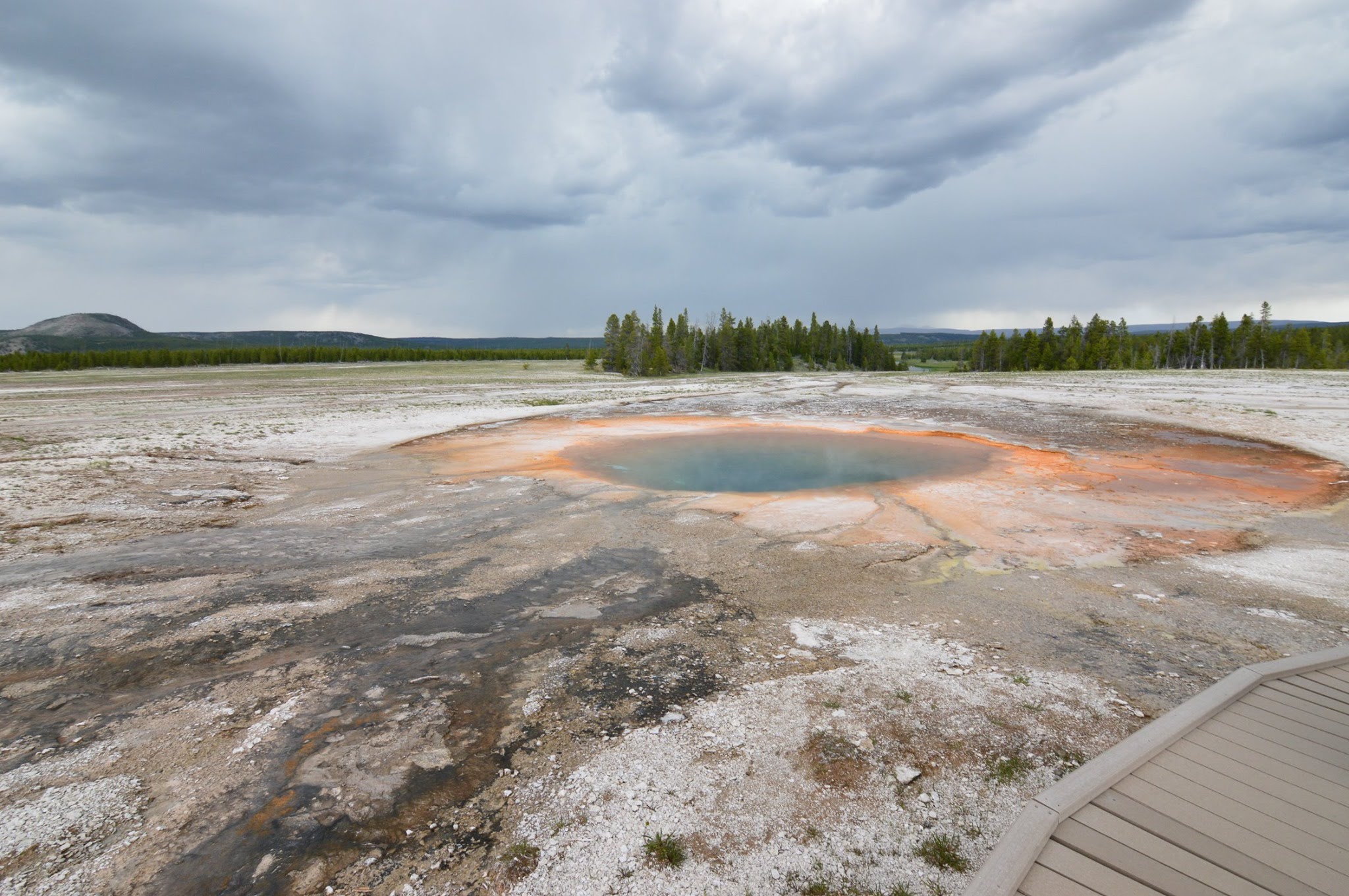 65182202_10156583040327809_6139045709657145344_o